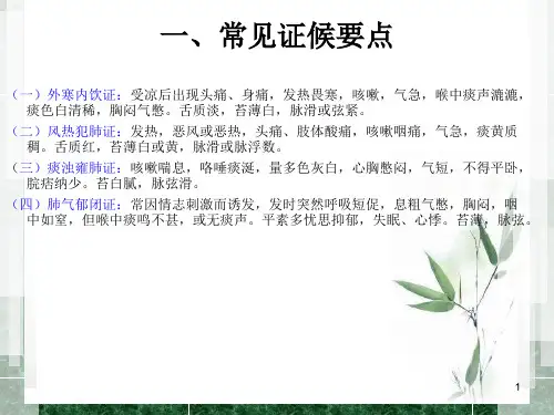 喘病中医护理方案ppt课件