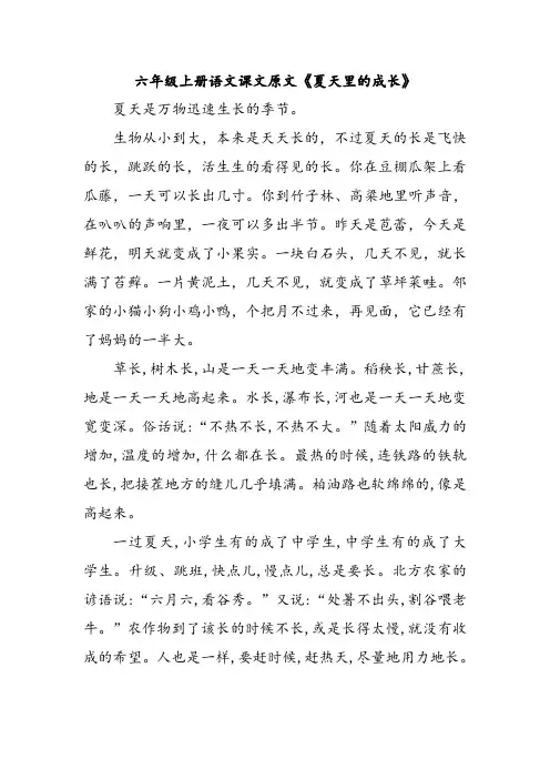 六年级上册语文课文原文《夏天里的成长》