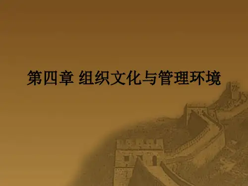 管理学 组织文化与管理环境