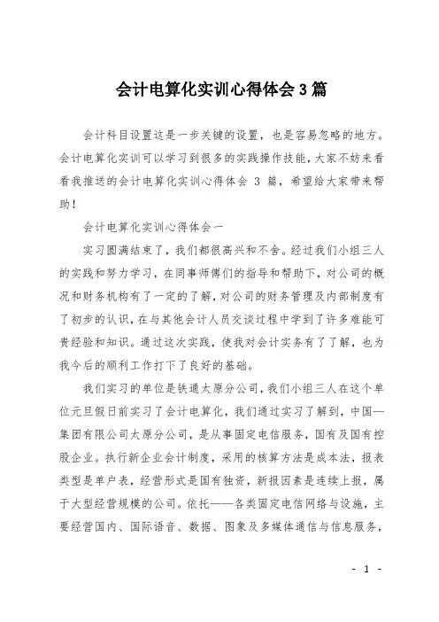 会计电算化实训心得体会3篇