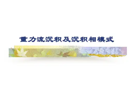 重力流沉积及沉积相模式