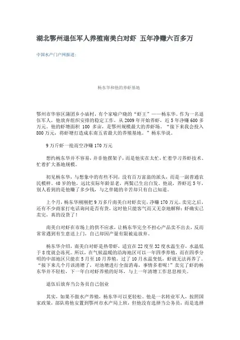 湖北鄂州退伍军人养殖南美白对虾 五年净赚六百多万