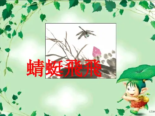 人教小学美术二《第9课蜻蜓飞飞》PPT课件 (3)