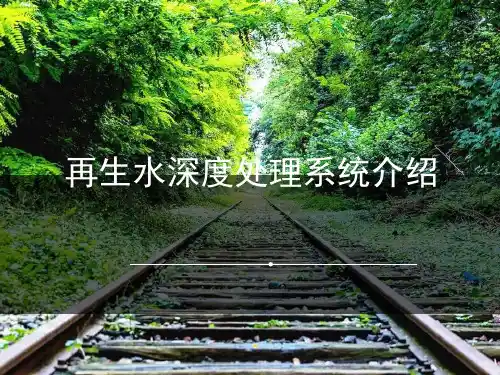 再生水深度处理系统PPT