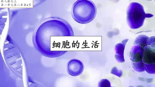 细胞的生活PPT课件