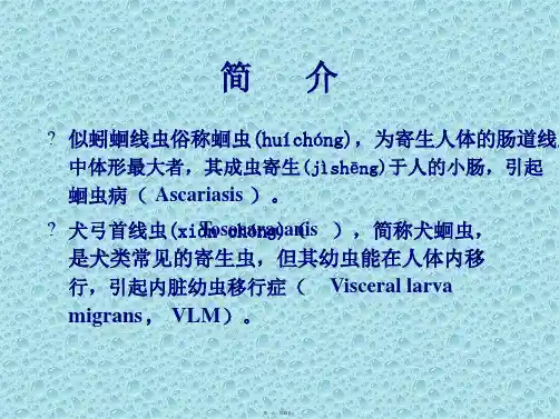 似蚓蛔线虫