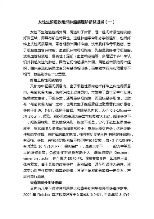 女性生殖道软组织肿瘤病理诊断及进展（一）