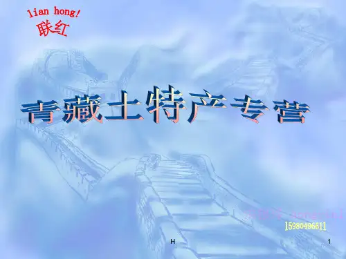 青海 土特产大全