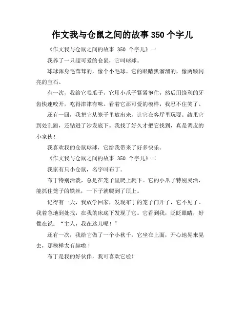 作文我与仓鼠之间的故事350个字儿