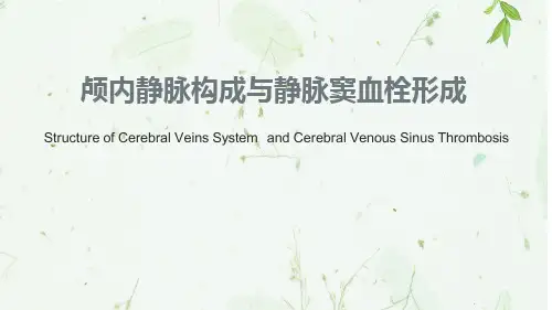 颅内静脉构成与静脉窦血栓形成影像
