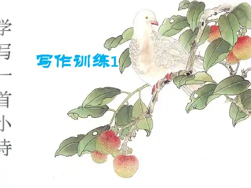 学习写诗作文课课件