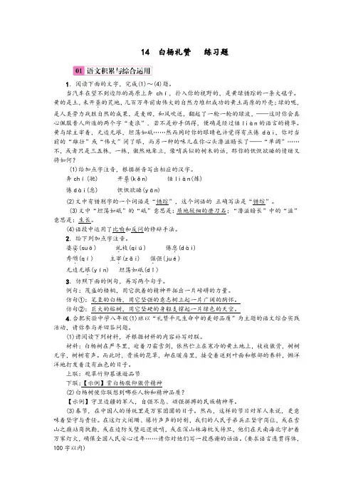 14白杨礼赞     练习