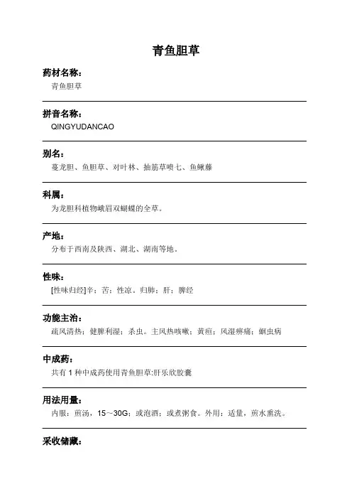 青鱼胆草中药材详细说明书