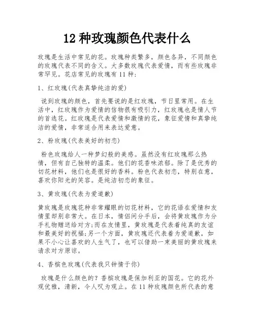 12种玫瑰颜色代表什么