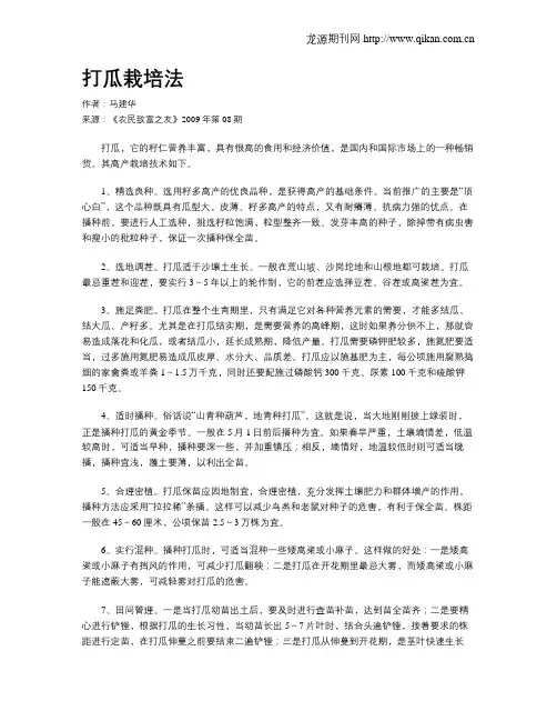 打瓜栽培法