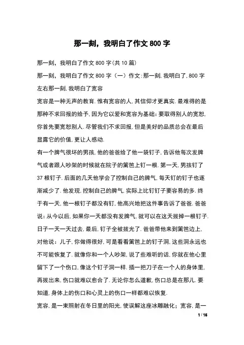 那一刻,我明白了作文800字