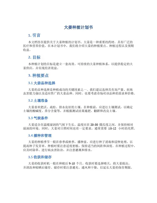 大姜种植计划书