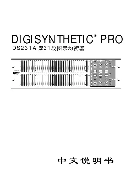DIGISYNTHETIC PRO DS231A 中文说明书