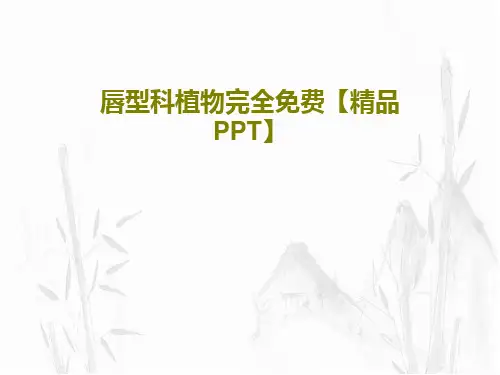 唇型科植物完全免费【精品PPT】共52页文档