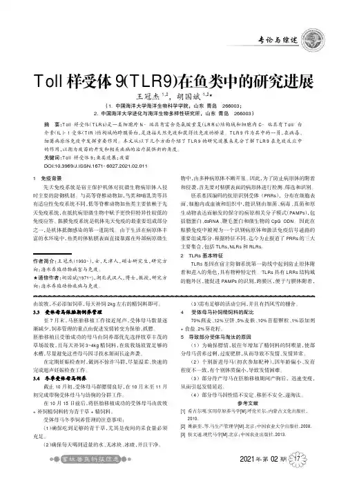 Toll样受体9(TLR9)在鱼类中的研究进展