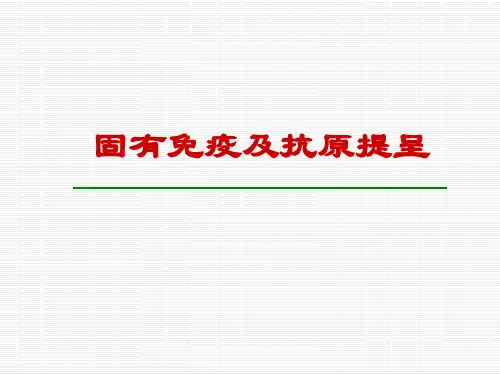 固有免疫及抗原提呈