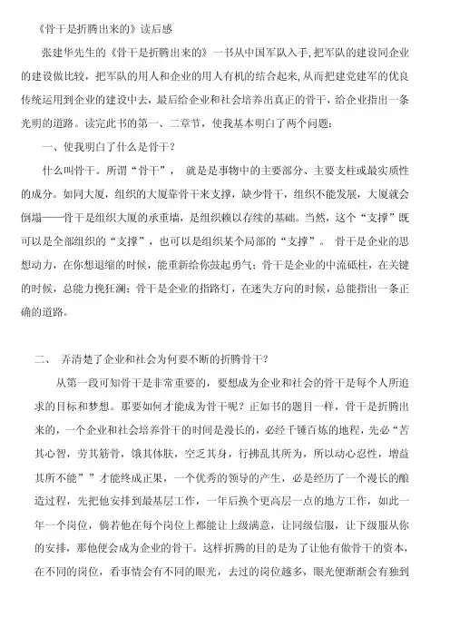 骨干是折腾出来的读后感