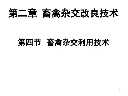 畜禽杂交改良技术第四节