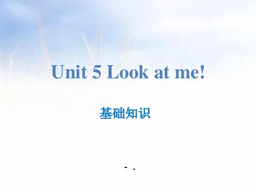 《Look at me!》基础知识PPT