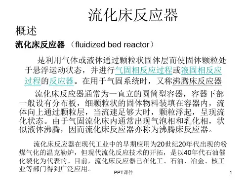 流化床反应器  ppt课件