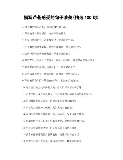 描写芦荟感受的句子唯美(精选100句)