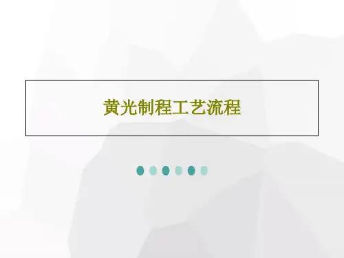 黄光制程工艺流程29页PPT
