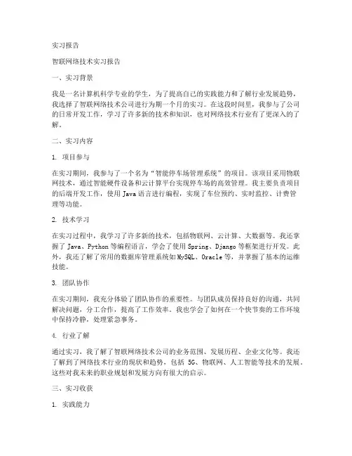 智联网络技术实习报告