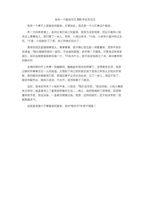 我有一个秘密作文500字优秀范文