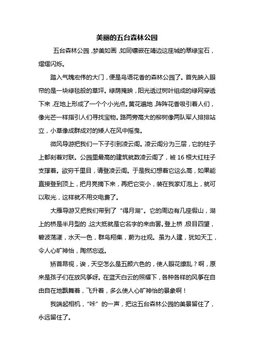 三年级作文：美丽的五台森林公园作文500字