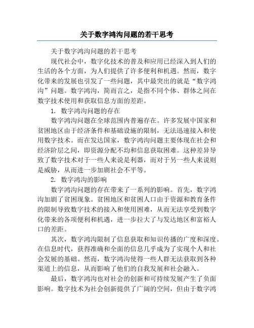 关于数字鸿沟问题的若干思考