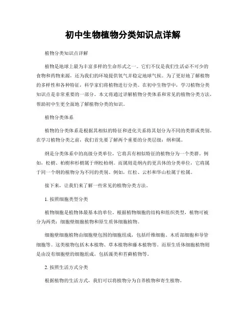 初中生物植物分类知识点详解