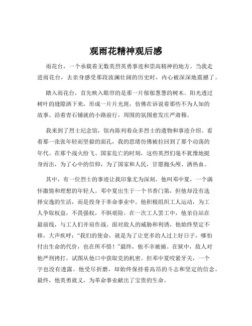 观雨花精神观后感