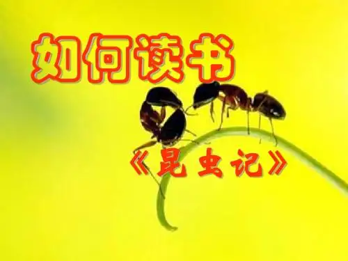 新人教版(部编)八年级语文上册《五单元  名著导读  《昆虫记》：科普作品的阅读》优质课课件_14