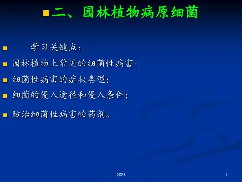 园林植物病虫害防治-3园林植物病原细菌、病毒、植原体、线虫、非侵染性病原PPT课件