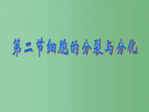 七年级生物上册 第一单元 第二章 第二节 细胞的分裂和分化课件 (新版)济南版