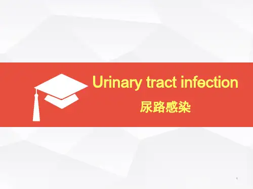 内科学英文课件：Urinary tract infection尿路感染