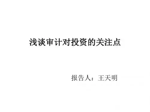 浅谈审计对投资的关注点