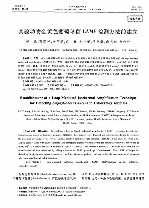 实验动物金黄色葡萄球菌LAMP检测方法的建立