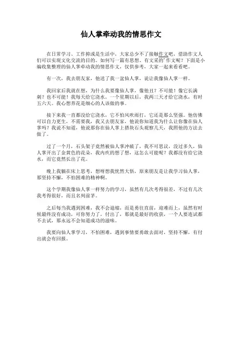 仙人掌牵动我的情思作文