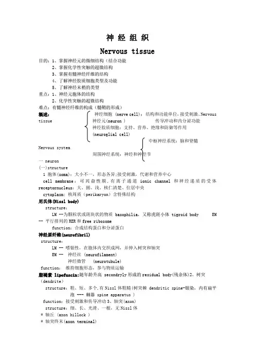 神经组织.doc