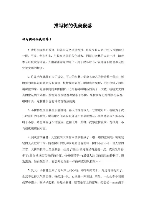 描写树的优美段落