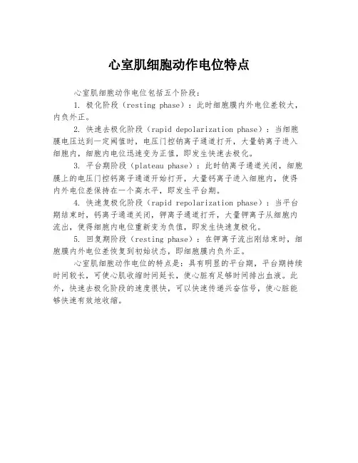 心室肌细胞动作电位特点