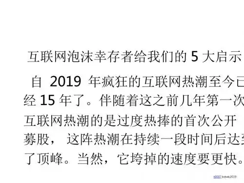 互联网泡沫幸存者给我们的5大启示-PPT文档资料