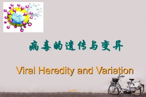 病毒的遗传与变异  ppt课件