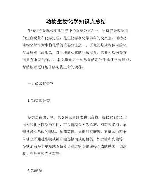 动物生物化学知识点总结